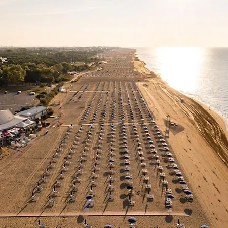 Relaxing By The Pine Forest Bibione